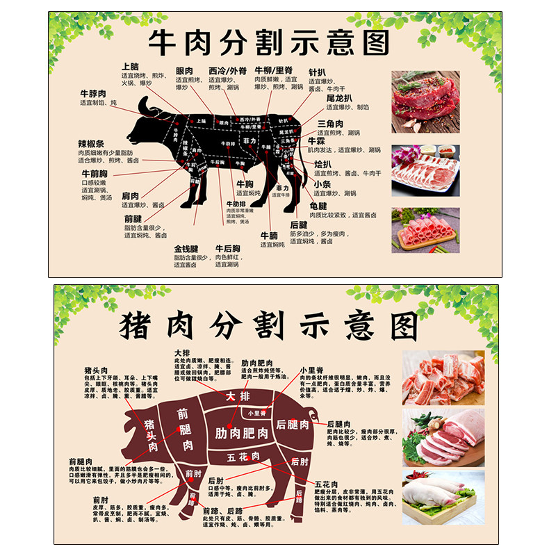 牛肉分解图介绍超市羊肉猪肉分割海报PP背胶分切图灯片写真贴纸画