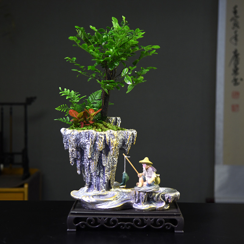 小叶紫檀盆景黑骨茶盆栽老桩盆景室内四季常青茶室阳台好养植物