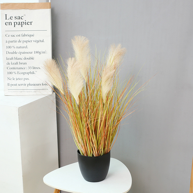 2025新品现货芦苇盆栽干花假花道具北欧芦苇装饰落地水生植物绿植