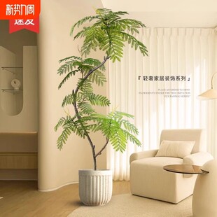 仿真绿植蓝花楹盆栽大型仿生植物假树轻奢客厅装饰品落地摆件