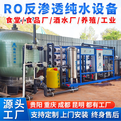 反渗透纯净水edi超纯水去离子水设备商用净水机反渗透水处理设备