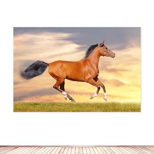 奔马图挂画客厅草原奔跑的马贴画马到成功自粘画办公室装饰画定制