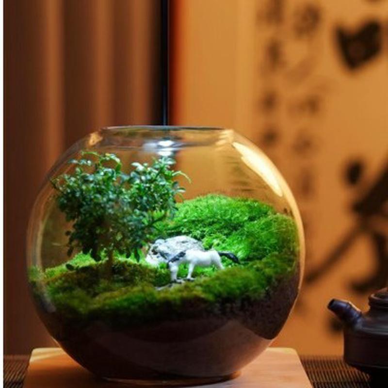 【太空舱】diy创意玻璃苔藓植物生态微景观盆栽办公室桌面摆件