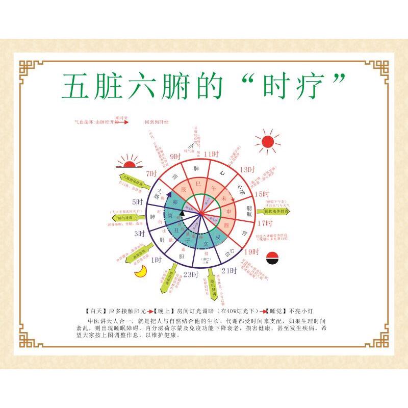 中医养生五脏六腑时疗图中医时疗图装饰画挂图墙贴纸海报展板