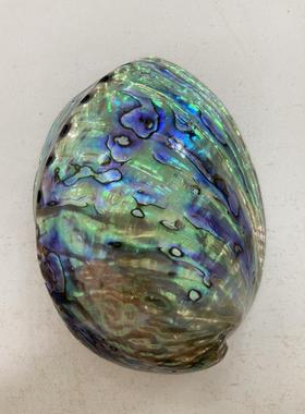 黑金鲍鱼壳加工 鲍鱼壳抛光打磨加工 黑金鲍壳加工 鲍鱼壳代加工