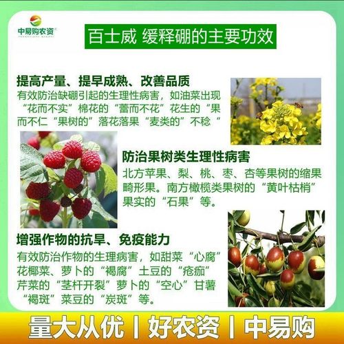 硼肥撒施硼颗粒果农底肥硼保花保硼用微量元素肥料补硼基施硼肥