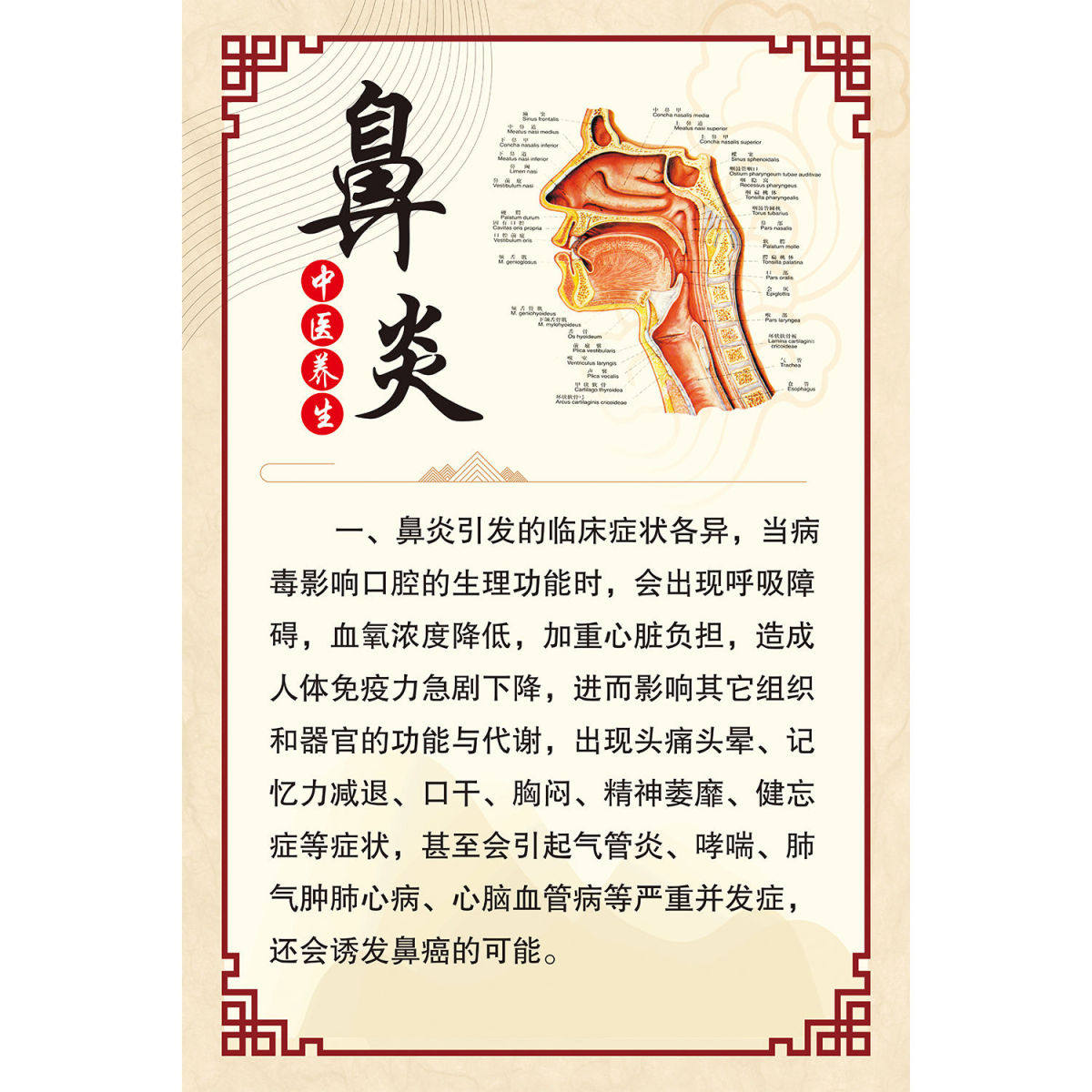 鼻炎中耳炎眼睛调理功效广告海报图片宣传画贴纸头部按摩挂图墙