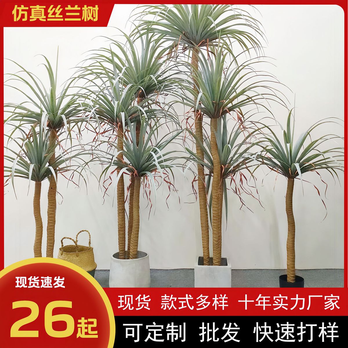 仿真丝兰树盆栽北欧风荷兰铁假树龙葵多仿真杆龙血树装饰落地盆栽
