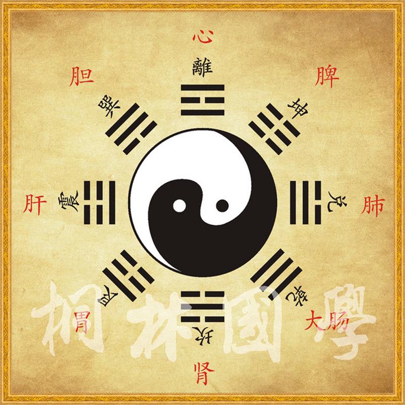 中医养生内外八卦对应图 太极阴阳鱼人体脏腑装饰画 多种尺寸颜色
