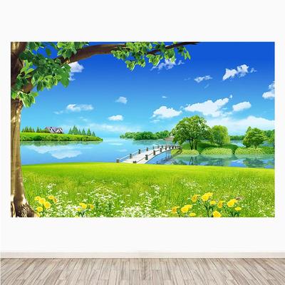 韩式自然风景小桥流水蓝天白云草地客厅装饰画墙贴壁挂画自粘