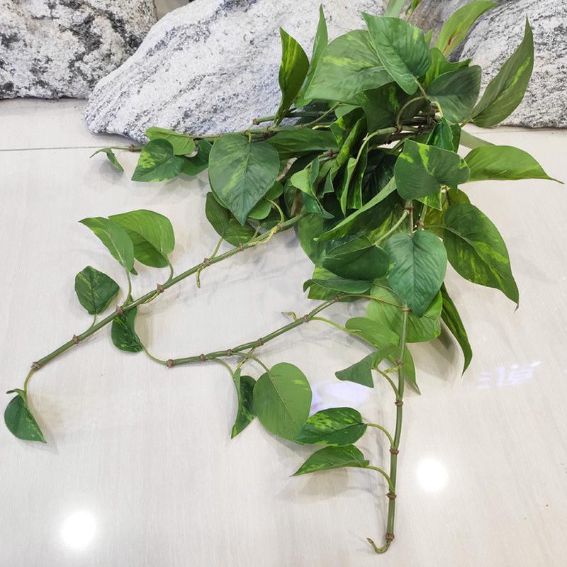 仿真绿萝藤条绿植束绿萝垂挂把优质手感胶叶绿萝壁挂吊兰花