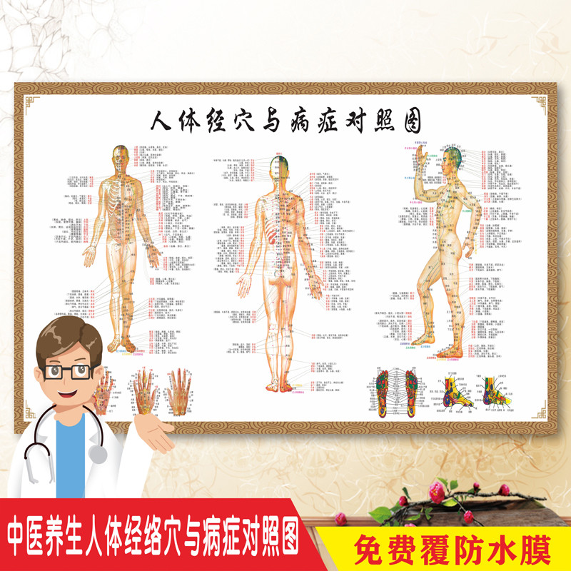 中医养生挂图人体经络穴位图大挂图人体经穴与病症对照图海报印制