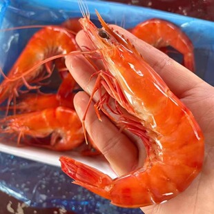 10盒【特大黑虎虾】超大熟冻老虎虾基围虾斑节九节虾海虾冻品食材