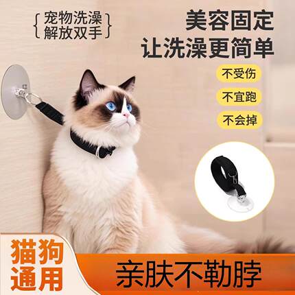 猫咪洗澡神器狗狗洗澡固定器防抓咬防跑挣脱剪指甲猫宠物用品大全