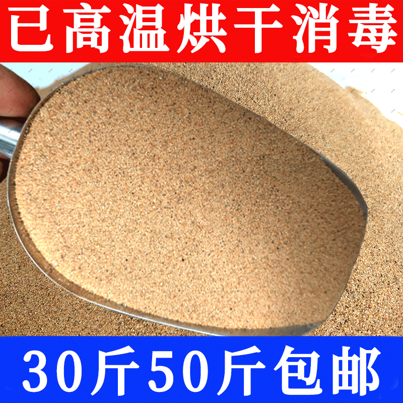 专用儿童河沙消毒沙玩具沙乌龟冬眠沙子天然河沙粗沙幼儿园儿童沙