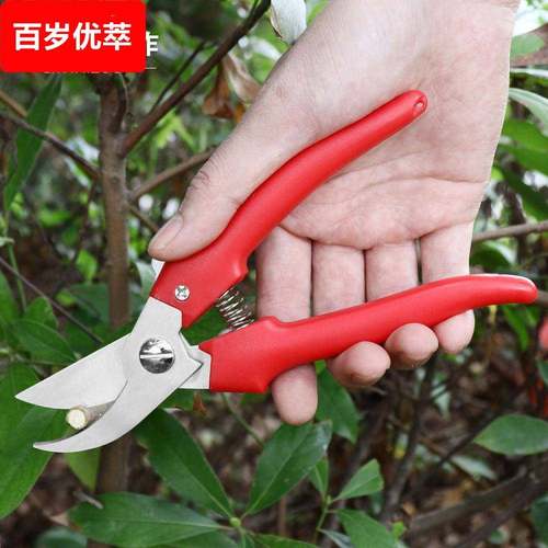 花木剪 园林修枝剪刀 果园粗枝花艺剪 园林修剪工具 果树剪