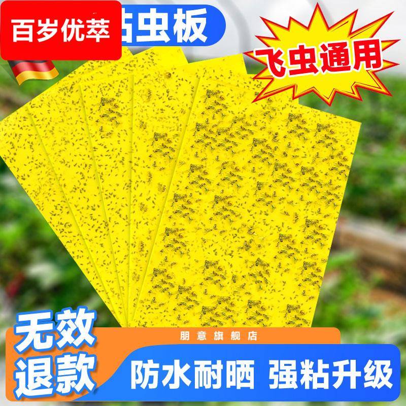 德国粘虫板黄板双面粘虫板粘苍蝇贴强力粘蝇纸双面贴果园果蝇诱捕