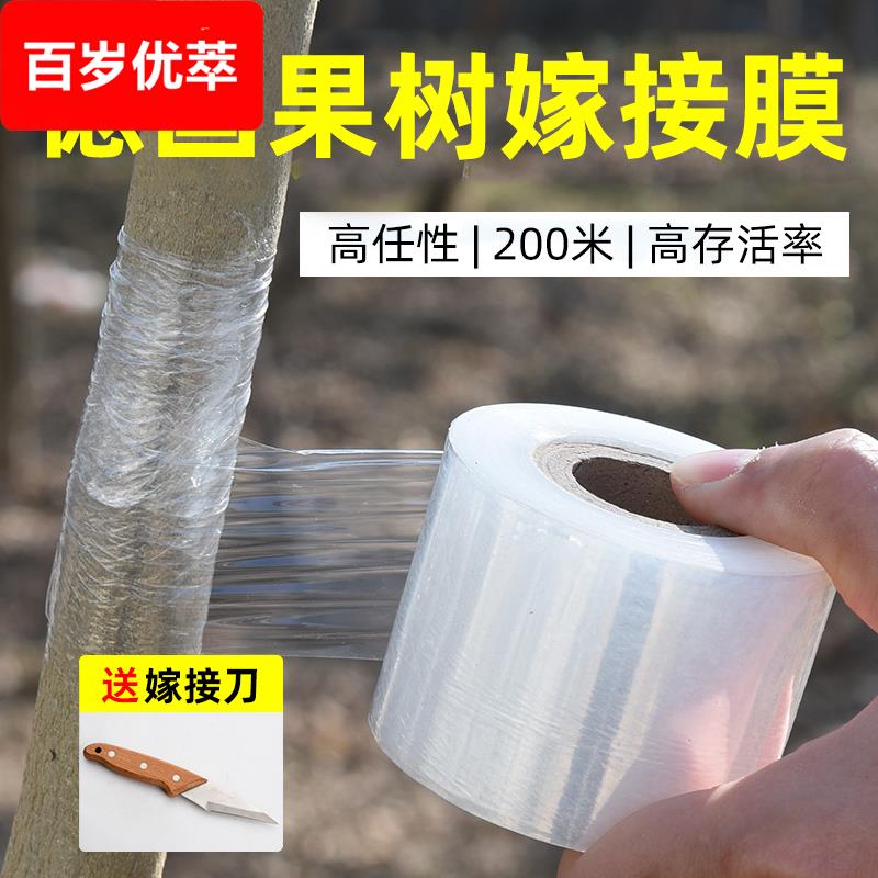 嫁接专用膜果树膜无需打结薄膜自粘式园林嫁接胶带包扎带缠绕膜