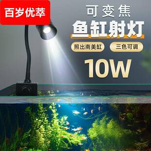 鱼缸射灯变焦灯南美造景专用小型水草灯LED雷龙照明灯具防水夹灯