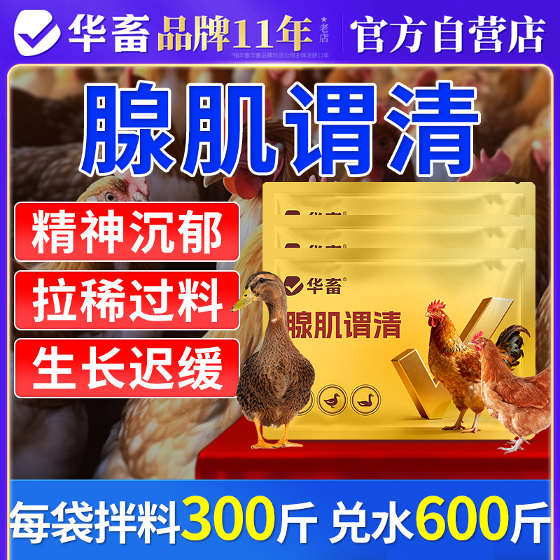 华畜腺肌胃清鸡鸭鹅拉稀白便水便