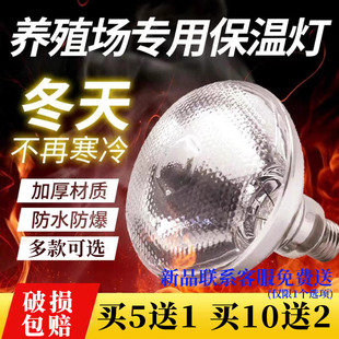 华畜加厚小鸡育雏保温灯养殖场专用猪场仔猪取暖灯泡冬季加热烤灯