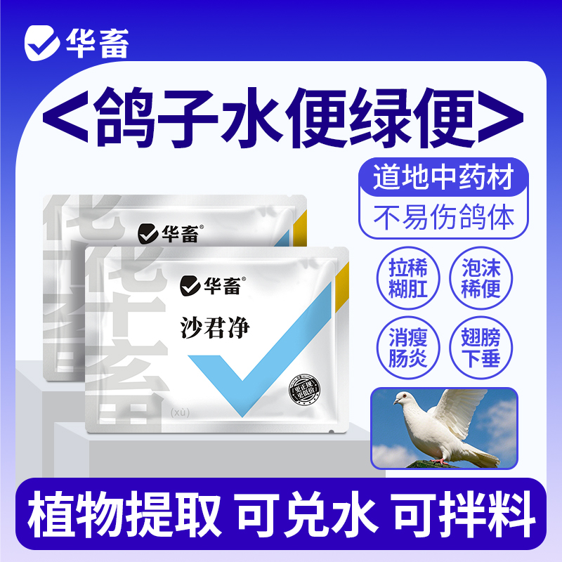 华畜沙君净鹦鹉赛鸽鸽子沙门氏菌大肠杆菌副伤寒黄白绿便拉稀消瘦