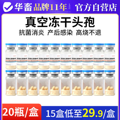 华畜兽用真空冻干头孢负压自吸