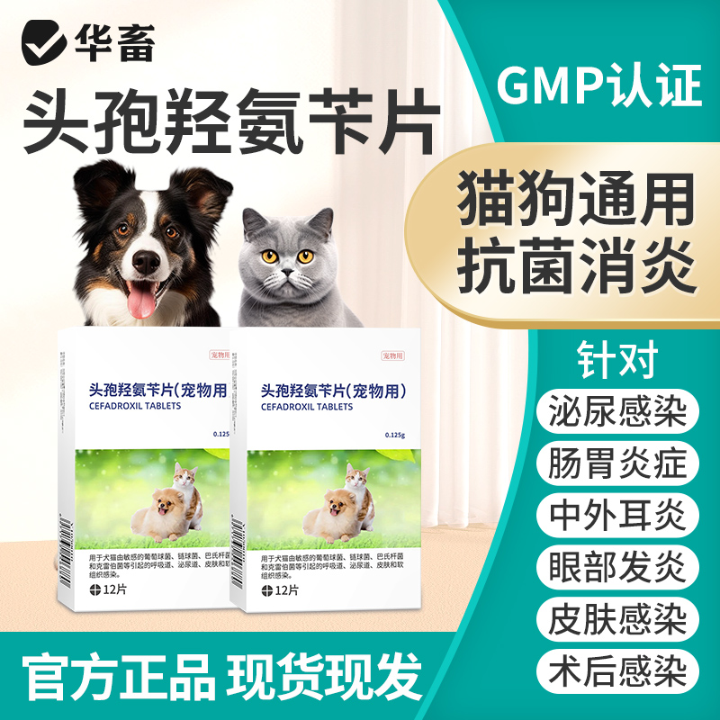 华畜猫狗尿路感染消炎药片