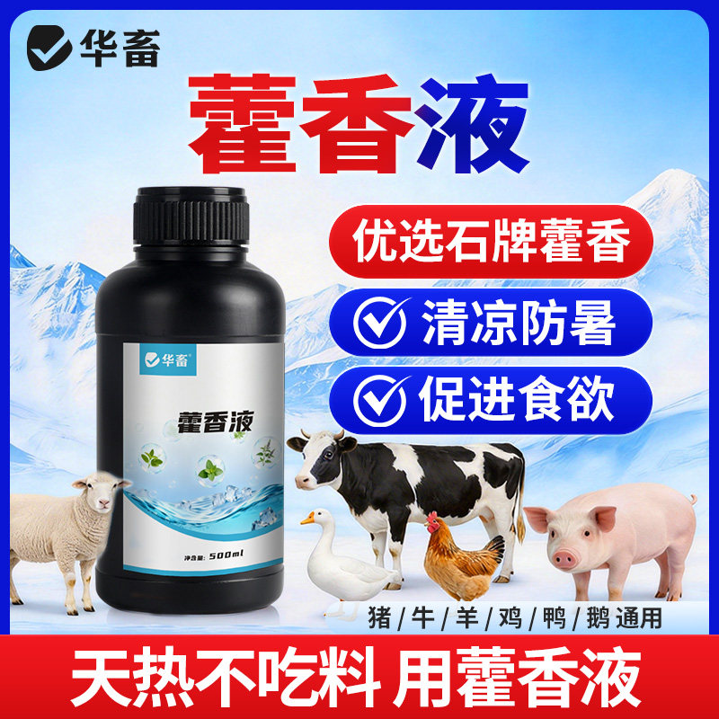 华畜藿香正气兽用藿香水猪牛羊鸡鸭鸽家禽用防中暑降温解暑口服液