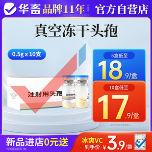 华畜兽药头孢噻呋钠注射兽用真空冻干粉猪牛羊产后消炎抗菌药针剂