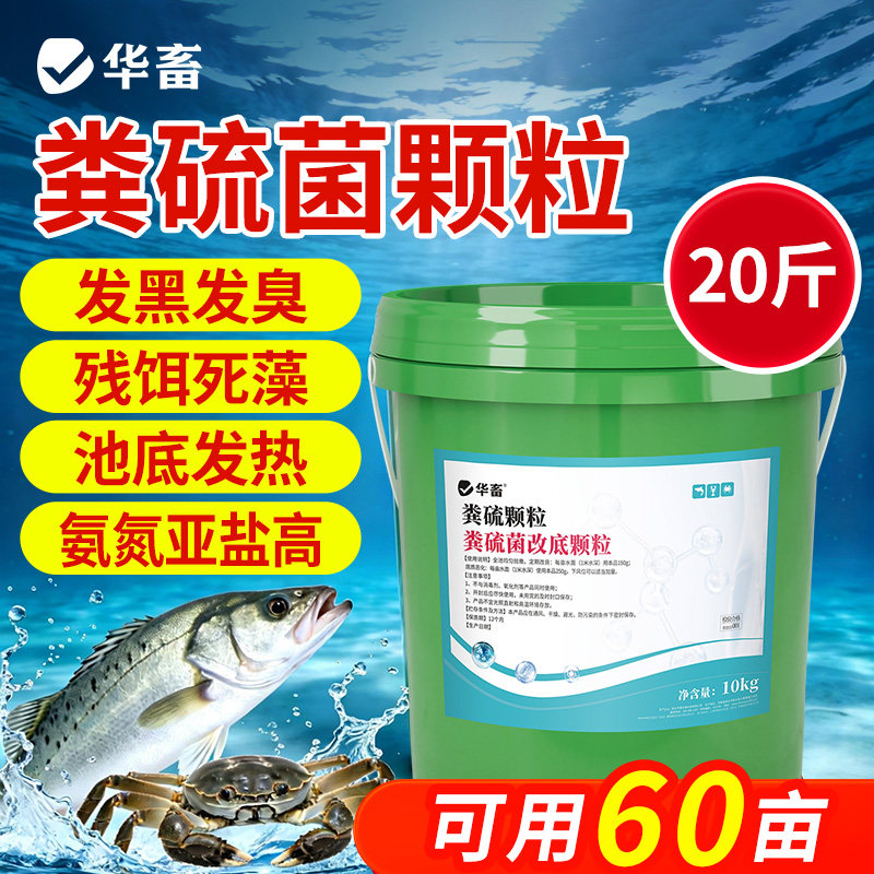 华畜粪硫菌底改颗粒水产养殖鱼塘改底王生物底改净水剂池塘变清