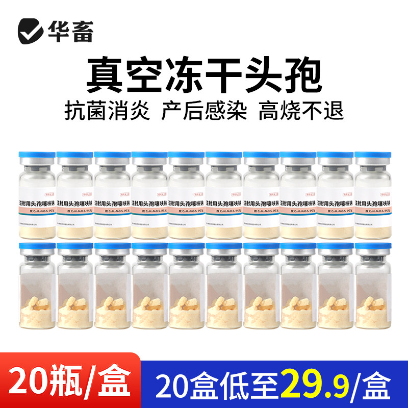 华畜头孢噻呋钠注射兽用真空冻干粉猪牛羊母猪产后消炎药国标兽药