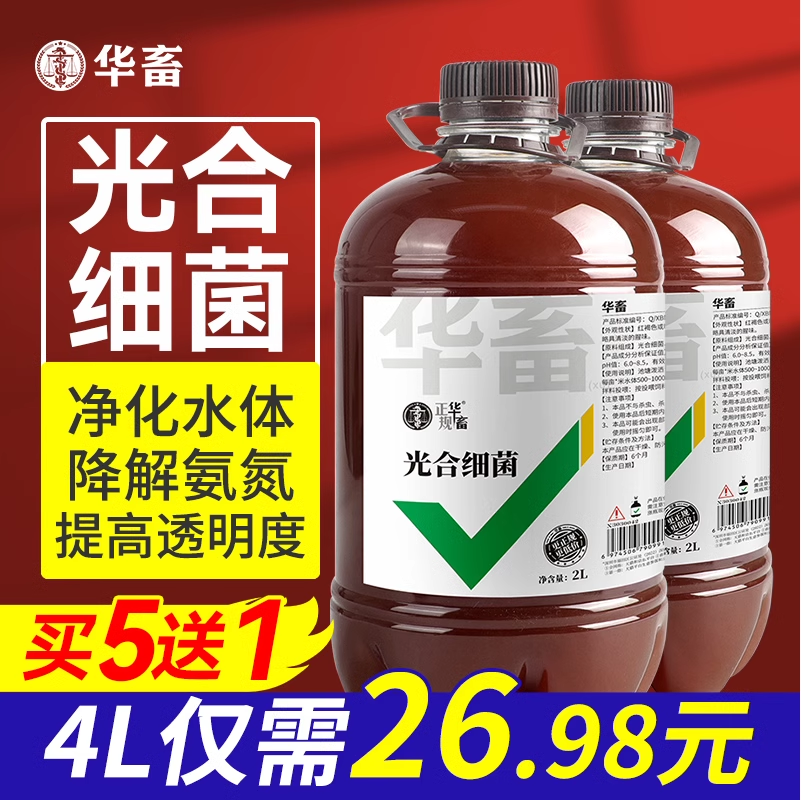 华畜光合细菌鱼虾蟹水产养殖净水体降解氨氮培养基原液光合菌菌种,畜牧/养殖物资,水质调节剂,淘宝优惠券,粉丝福利购,淘宝优惠卷