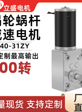 立盛5840-g31ZY微型直流减速电机涡轮蜗杆自锁调速慢速马达12V24V