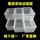 塑料筐长方形果蔬采收筐运输周转框物流储物箩筐蔬菜X水果收纳箱