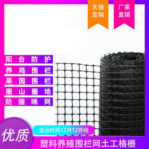 土工格栅塑料网格养殖网塑料x护栏网养鸡围栏防护网漏粪家用围栏