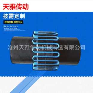 天雅联轴器 天雅蛇簧联轴器 蛇簧联轴器 蛇簧弹性联轴器