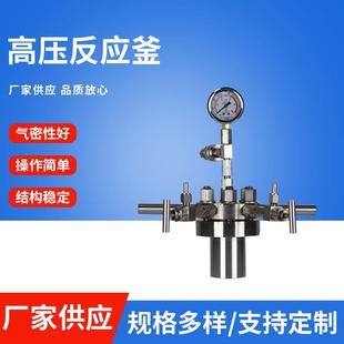 高压反应釜微型磁力搅拌加热简易釜不锈钢高压反应釜水热合成