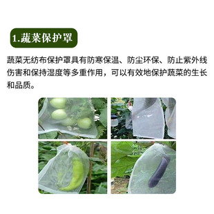 香蕉袋葡萄水果套袋无纺布保护罩农业保温果树防寒罩植物罩育苗袋