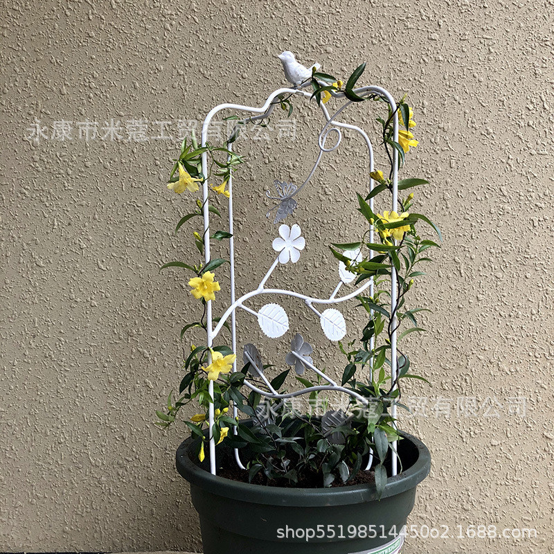 爬藤架攀藤花架植物铁艺铁艺线莲支架绿萝月季蝴蝶笼造型支架