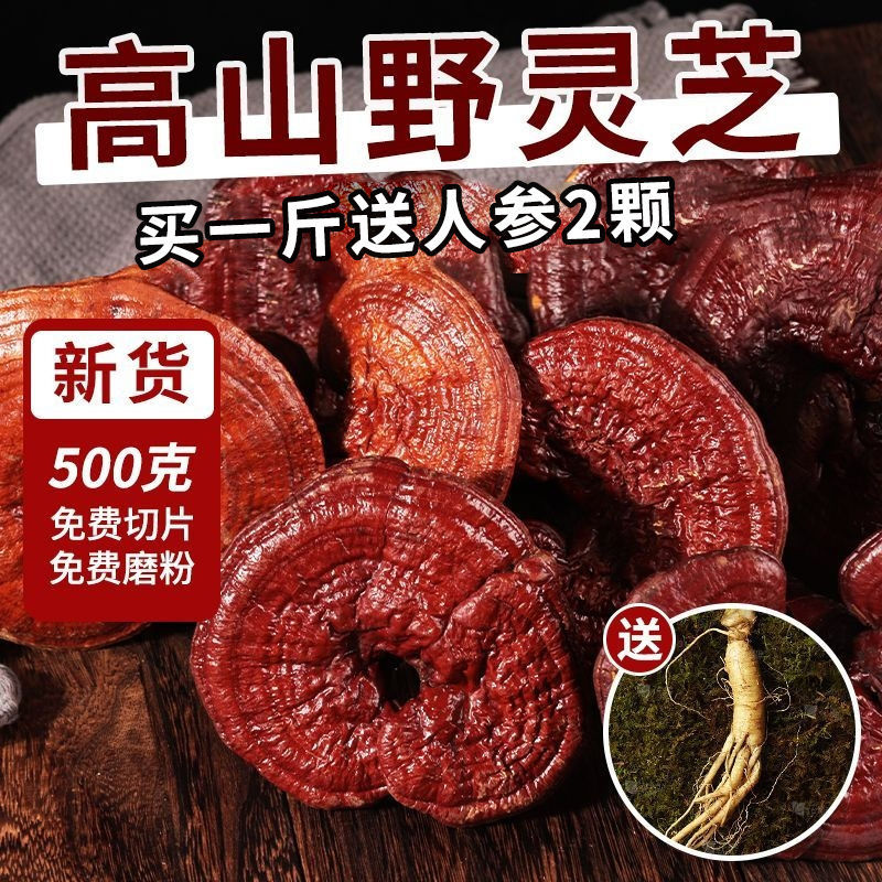 速发【买灵芝送人参】赤整朵灵芝送礼补品长白山灵芝50克1朵熬汤