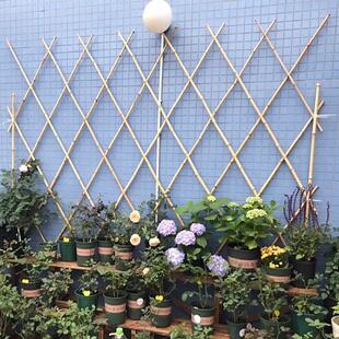 户外伸缩竹篱笆拉网栅栏花园植物爬藤架围栏庭院护栏隔断菜园竹竿