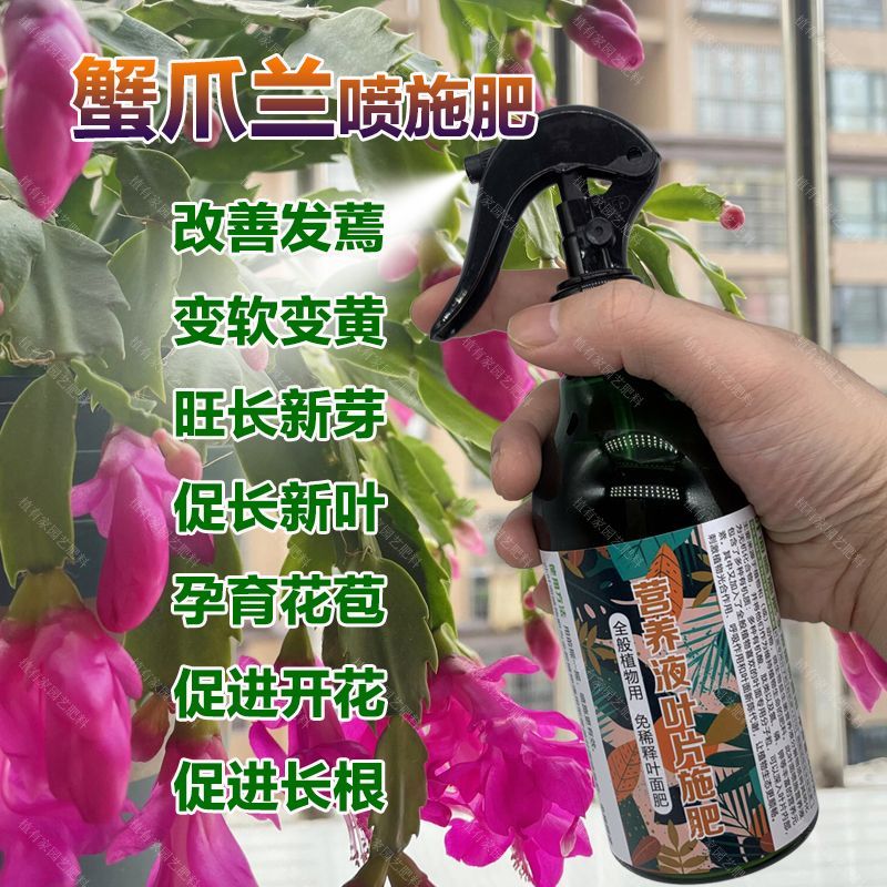 蟹爪兰专用肥料蟹爪莲圭生长新叶长根花卉水溶化肥营养液室内肥料