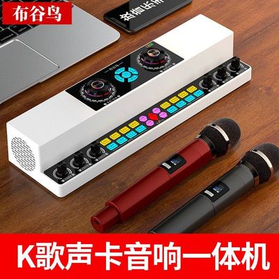 布谷鸟Y6 声卡音响一体机直播唱歌室内户外广场舞K歌无线蓝牙音箱