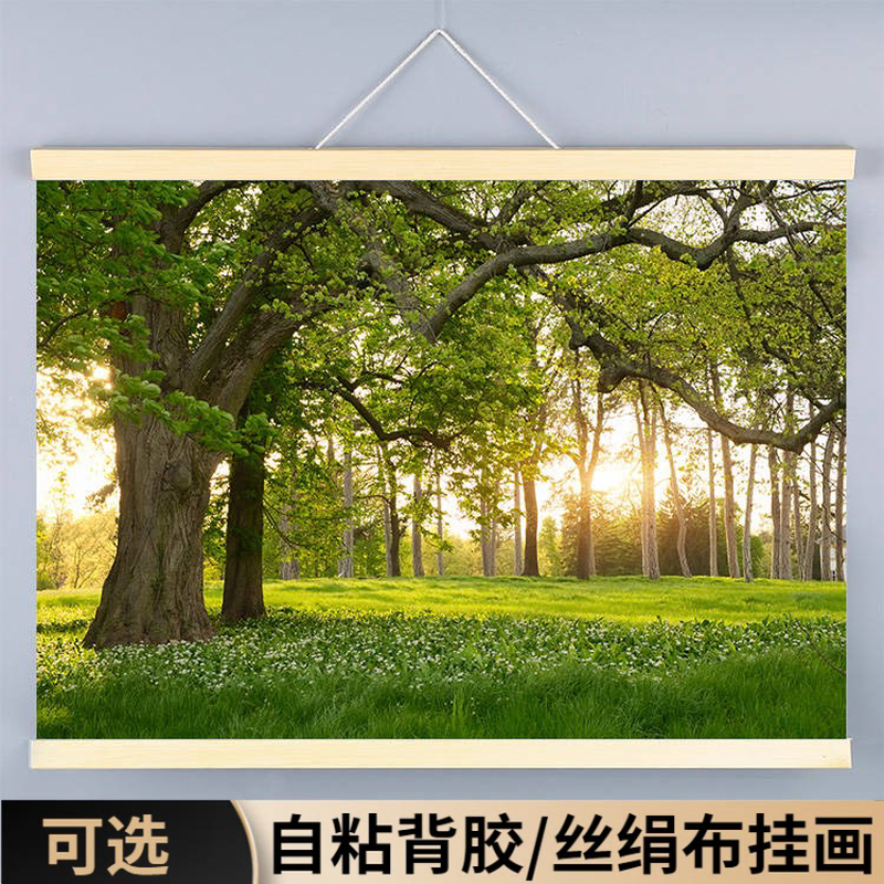 森林沙发风景装饰画挂画卧室客厅背景墙贴自粘树林树木书房宿舍图图片
