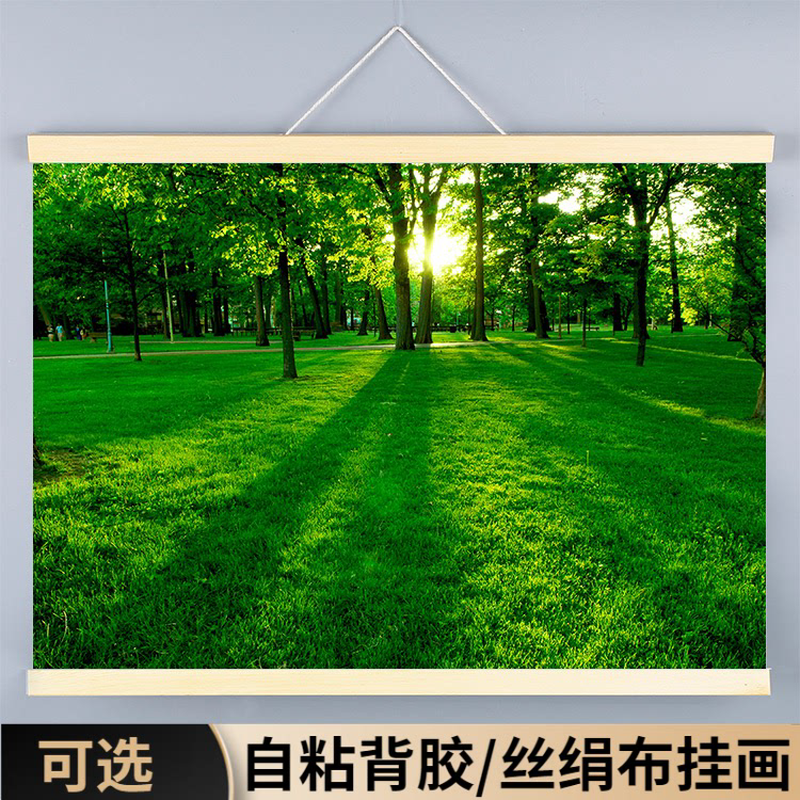 树林背景墙风景装饰挂画仙境植物壁纸绿树木森林墙贴纸绿色护眼图图片