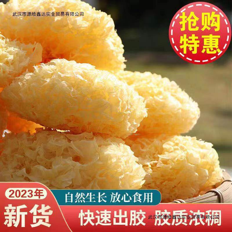新货福建古田农家银耳无硫熏干货白木耳糯耳雪耳百合莲子羹500g