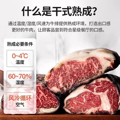 干式牛肉熟成柜和牛商用排酸柜冷冻冷藏保鲜恒温柜小型牛排展示柜
