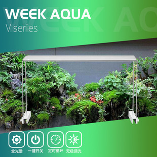 水族灯 鱼缸造景定时调光全光谱灯盘 水族水陆支架灯