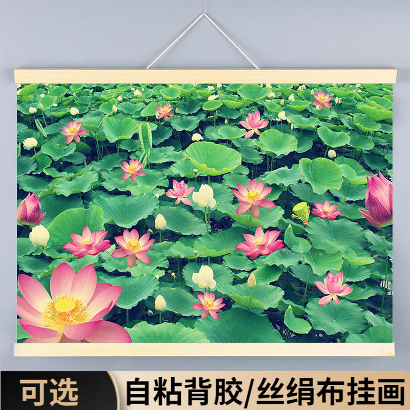 荷花装饰画玄关客厅沙发风景绿色背景墙贴图卧室床头植物鲜花自粘图片